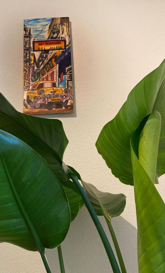 Limmatspitz Lägenhet Gebenstorf Exteriör bild